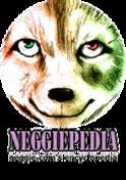 neggie.com Neggie