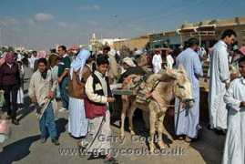 garycook.co.uk Negila