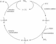 organic-chemistry.org Negish