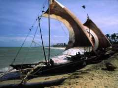 panoramio.com Negombo