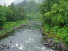 gaiser.org Nehalem
