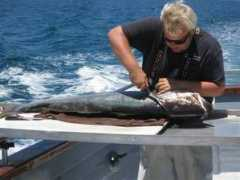 seastarsportfishing.info Neisch