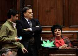 noticias24.com Nejamkis