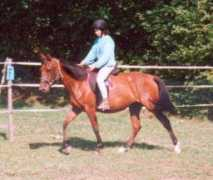 lydielemmens.free.fr Nejmah