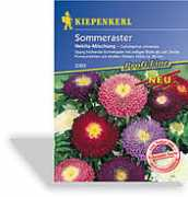 schneckenprofi.de Nekita