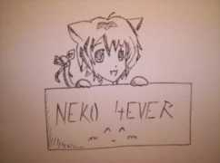 Nekoo