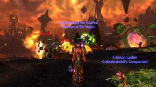 Nelf