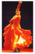 dcflamenco.com Nelida
