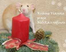 chsmouseville.cz Nelika