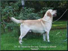 showmetheway.lab.free.fr Nelou