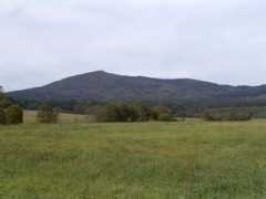old.braunstein.cz Nemanic