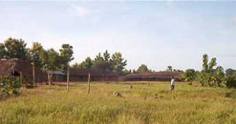 Nemaya