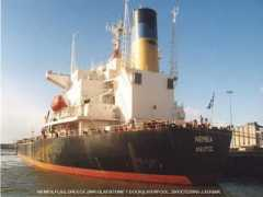 spanishshipping.com Nemeo