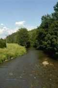 eter.cz Nemile