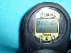 Nemrod