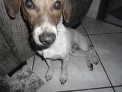 Nenem