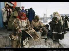 Nenet