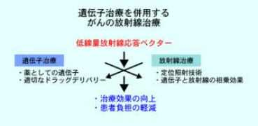nirs.go.jp Nenoi