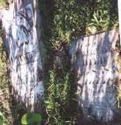 Neomy