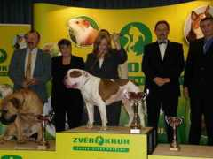 ambulldog.cz Neraka