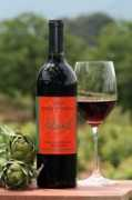 chiaritovineyard.com Nerod