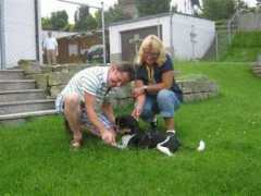tierschutz-toskana.com Nerona