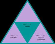 Nervi