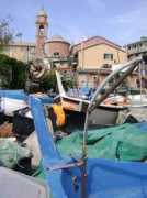 Nervi