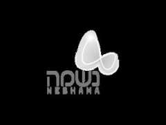 platforma-branding.com Neshama