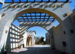 dahab-info.com Nesima