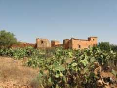 panoramio.com Nessr