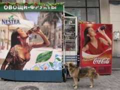 picshag.com Nestea