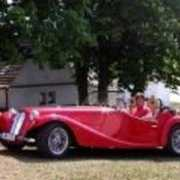 tradicnirecepty.cz Neterda