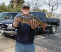 norcalcarpclub.com Netman