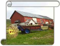 Nettland