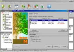 Netware