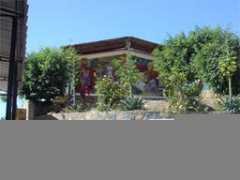 Netza