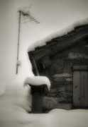 bw-color.com Nevant