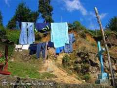 homohabitus.org Nevardo