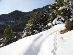 panoramio.com Nevat