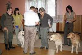 rokycansky.denik.cz Nevide