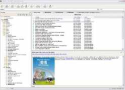 download.sharewarecentral.com Newsreader