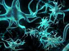 nanonewsnet.ru Neyron