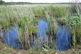 plumesetnature.com Nezil