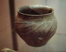 Nezili