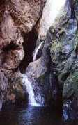 Nezire