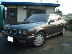 nissancars.kamikaze-drive.com Ngro