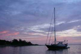 sailfinalstraw.com Nguna