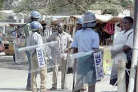 herald.co.zw Ngundu