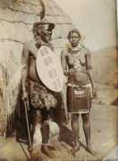 Nguni